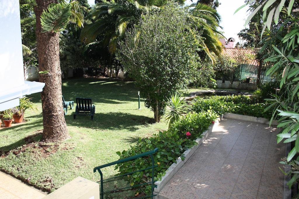 Villa Echium Caniço Exteriér fotografie