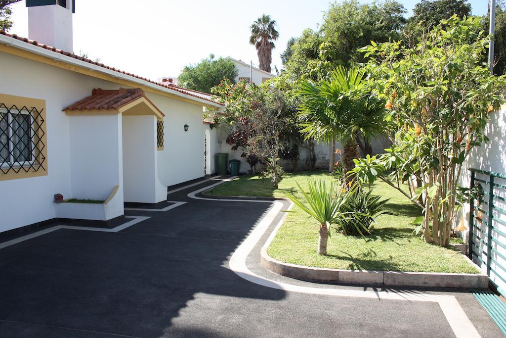 Villa Echium Caniço Exteriér fotografie